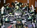 striking_arachnoid_06.jpg