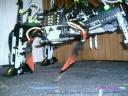 striking_arachnoid_07.jpg