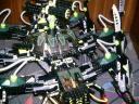 striking_arachnoid_08.jpg