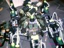 striking_arachnoid_13.jpg
