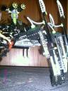 striking_arachnoid_16.jpg