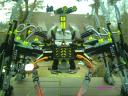 striking_arachnoid_19.jpg