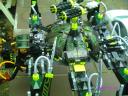 striking_arachnoid_21.jpg
