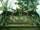 striking_arachnoid_26.jpg