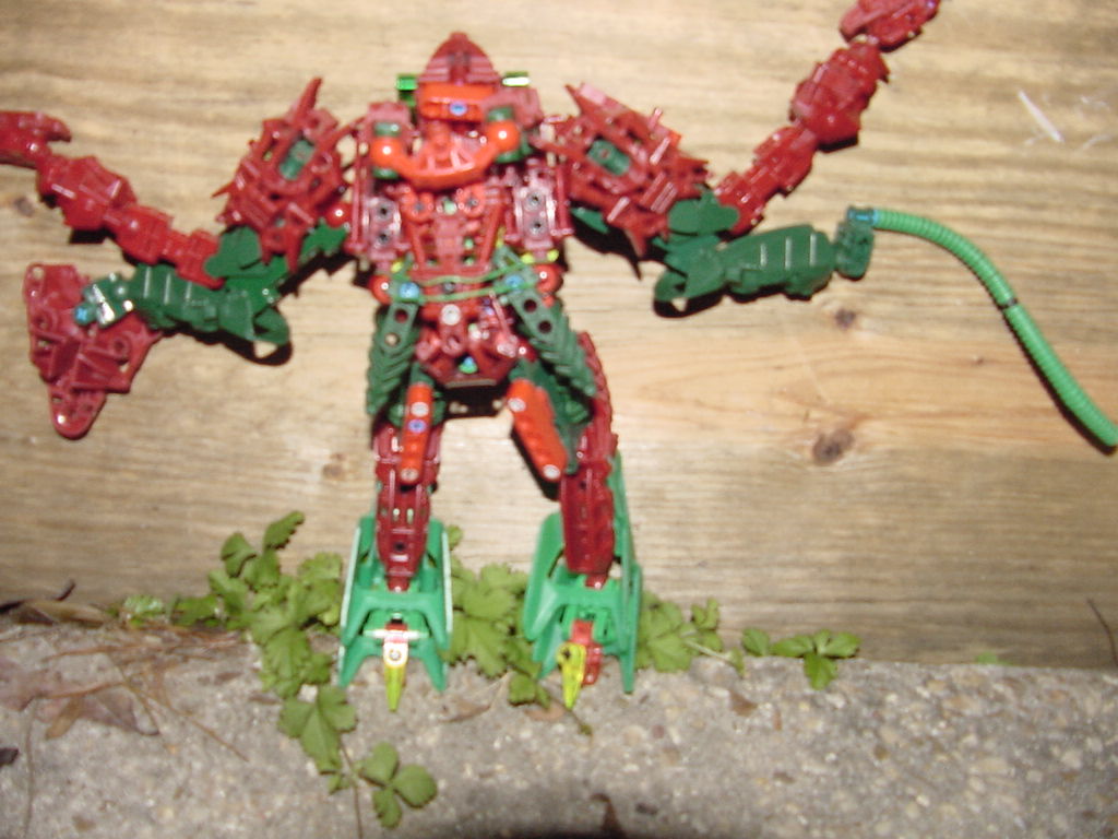 zarkoth_back_view.jpg