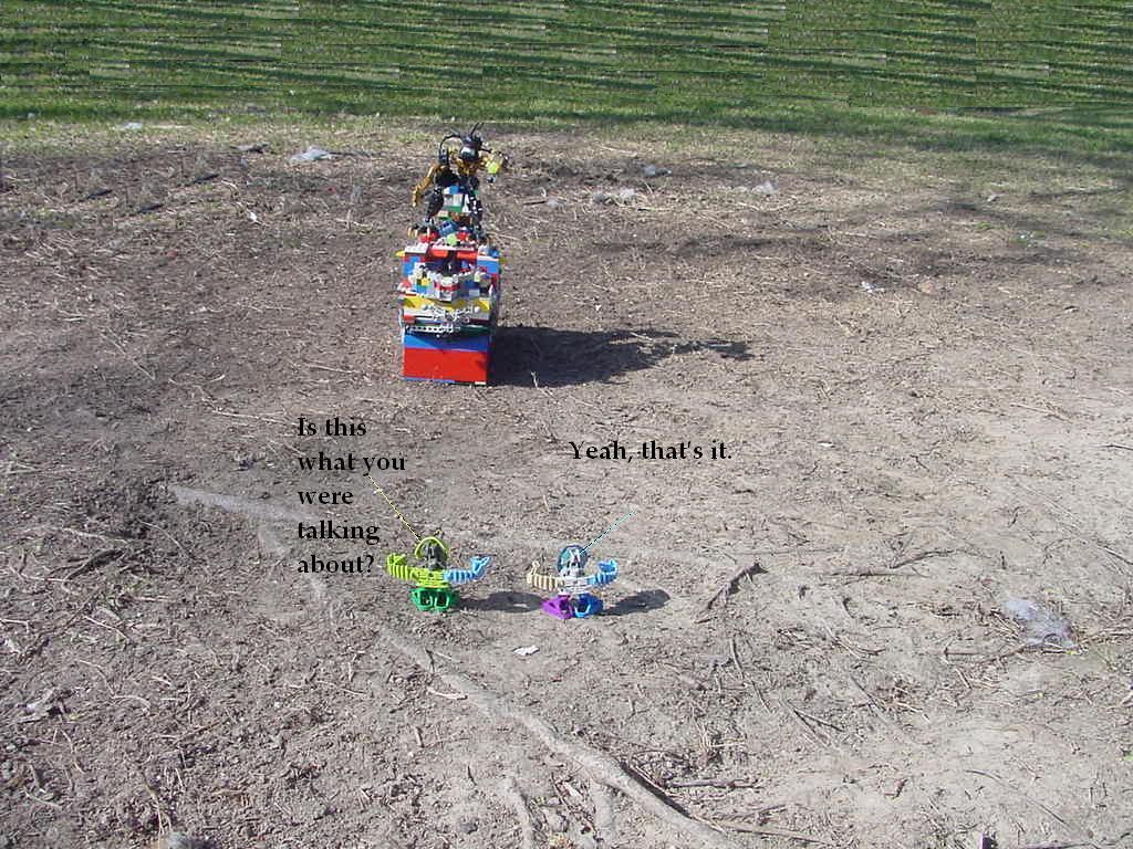 story5.jpg