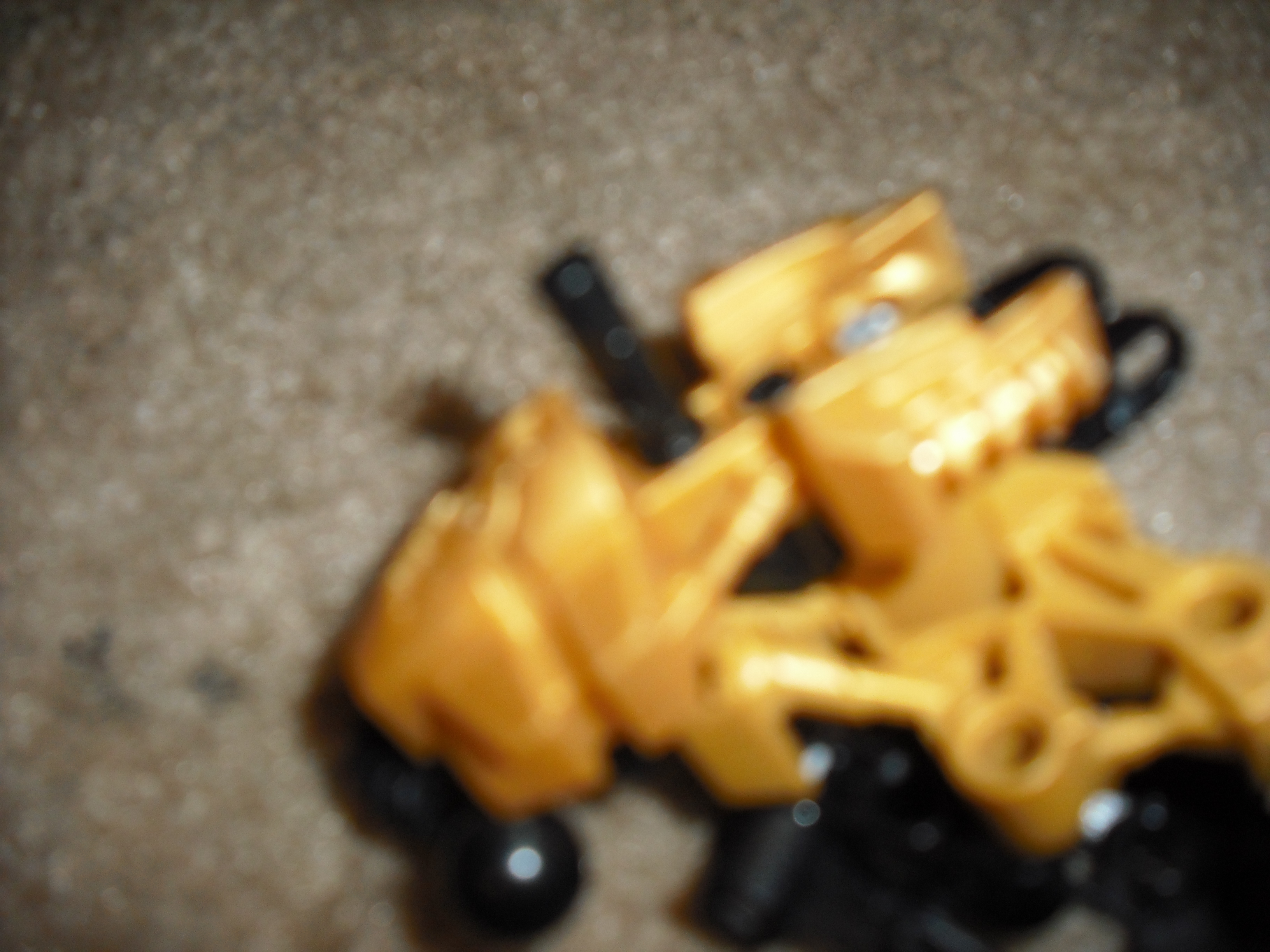 dscf0172.jpg