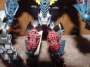 my_brutaka_closeup2.jpg