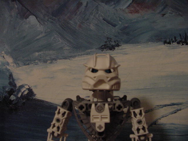 talu_closeup.jpg