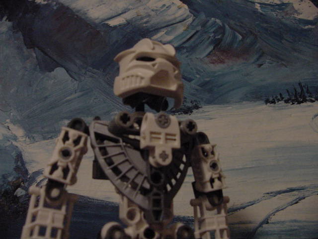 talu_closeup2.jpg