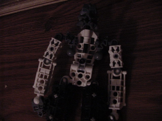 talu_torso_cut-away.jpg