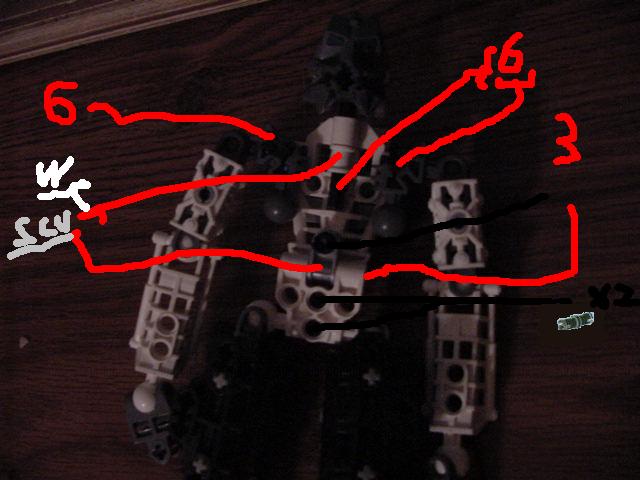 talu_torso_cut-away2.jpg
