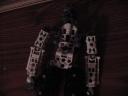 talu_torso_cut-away.jpg
