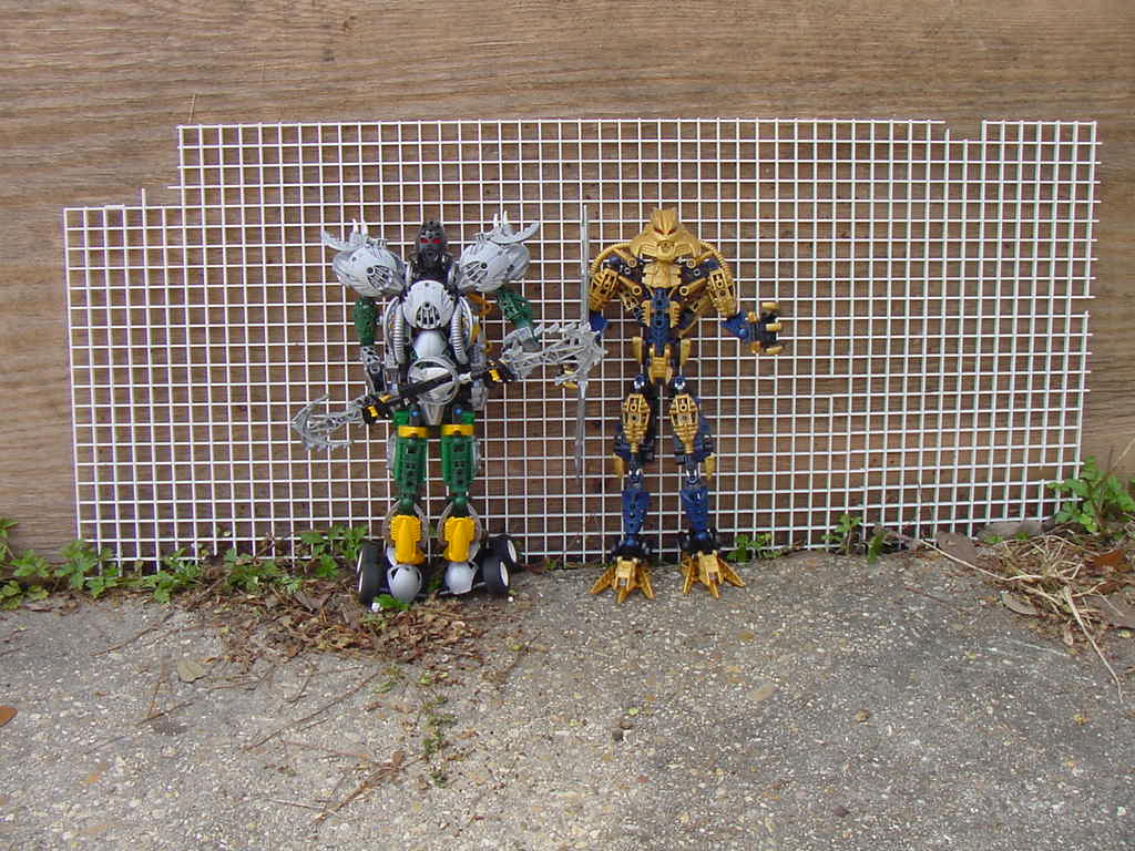 size_comp._to_brutaka.jpg