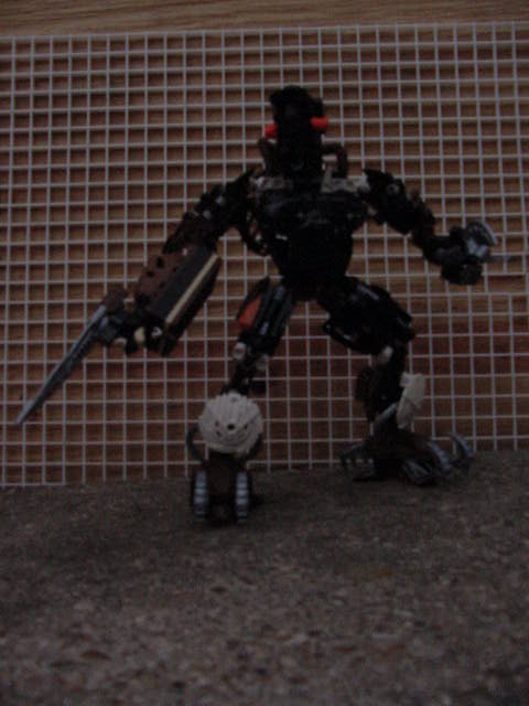 dark_hunter.jpg