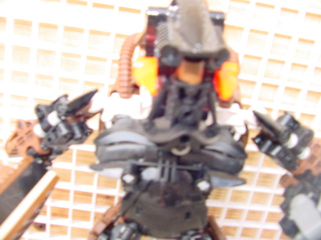dh_front.jpg