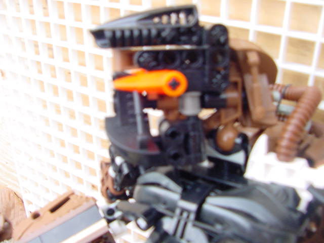 dh_head_side.jpg