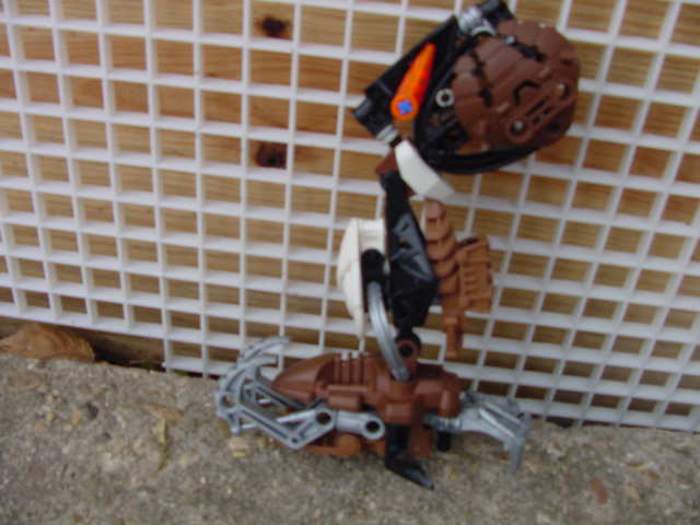 dh_leg_front.jpg
