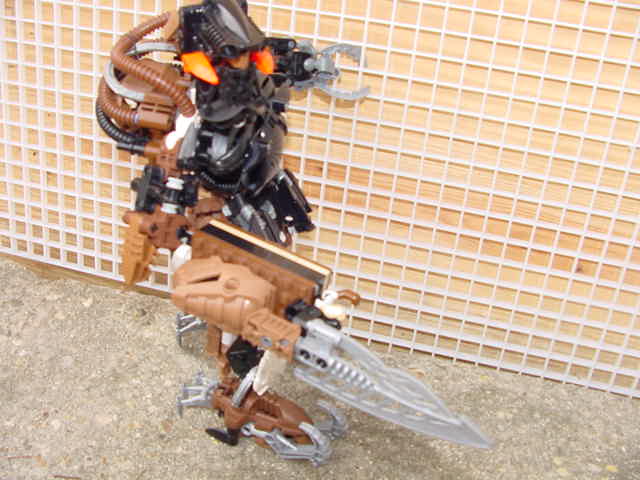 dh_pose.jpg