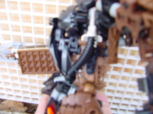 dh_side_closeup.jpg