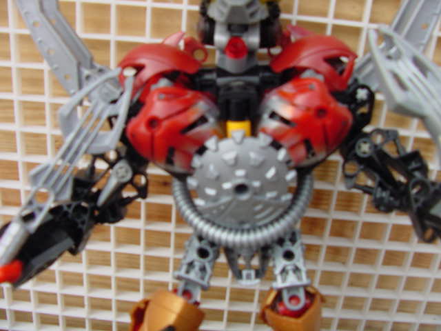 lariska_chest_closeup.jpg