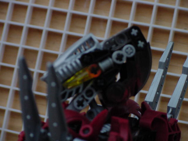 lariska_side_head.jpg
