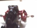 vezon_torso14.bmp
