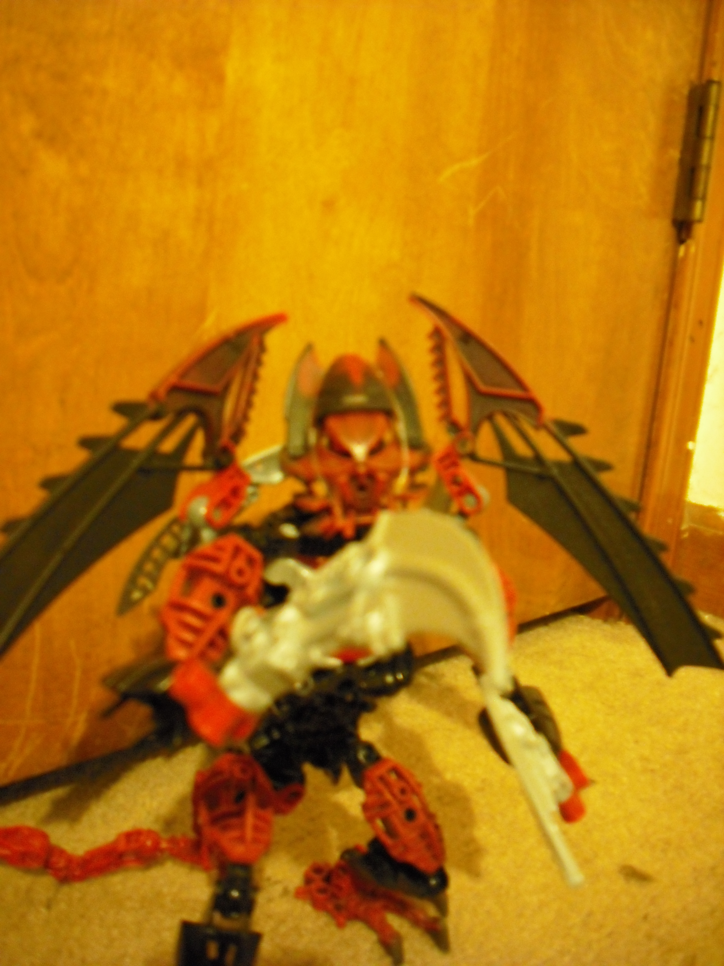 dscf0300.jpg