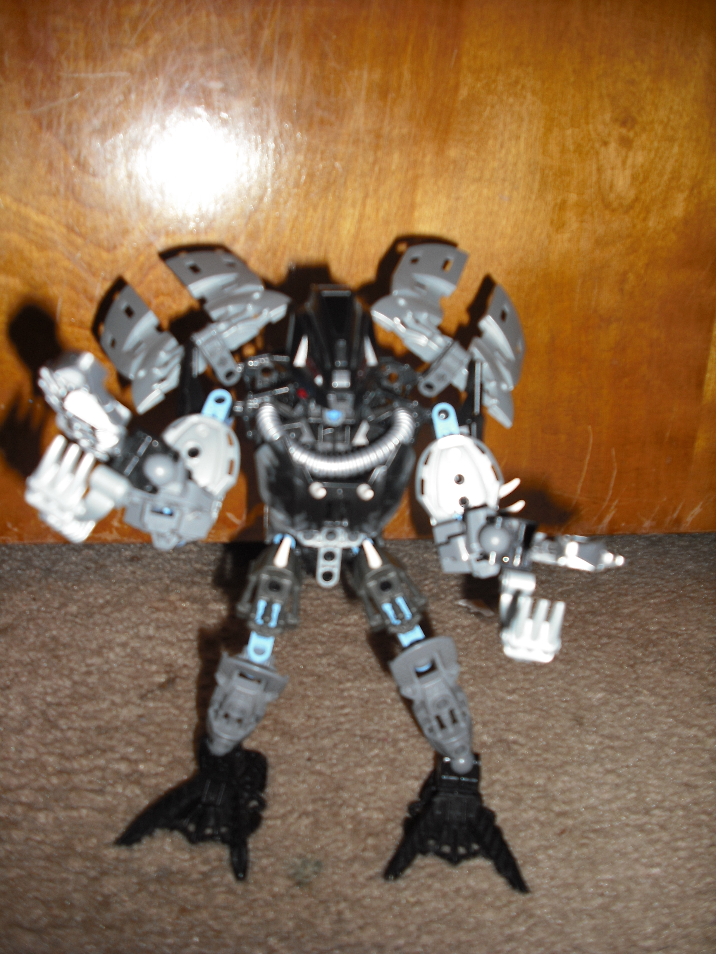 dscf0221.jpg
