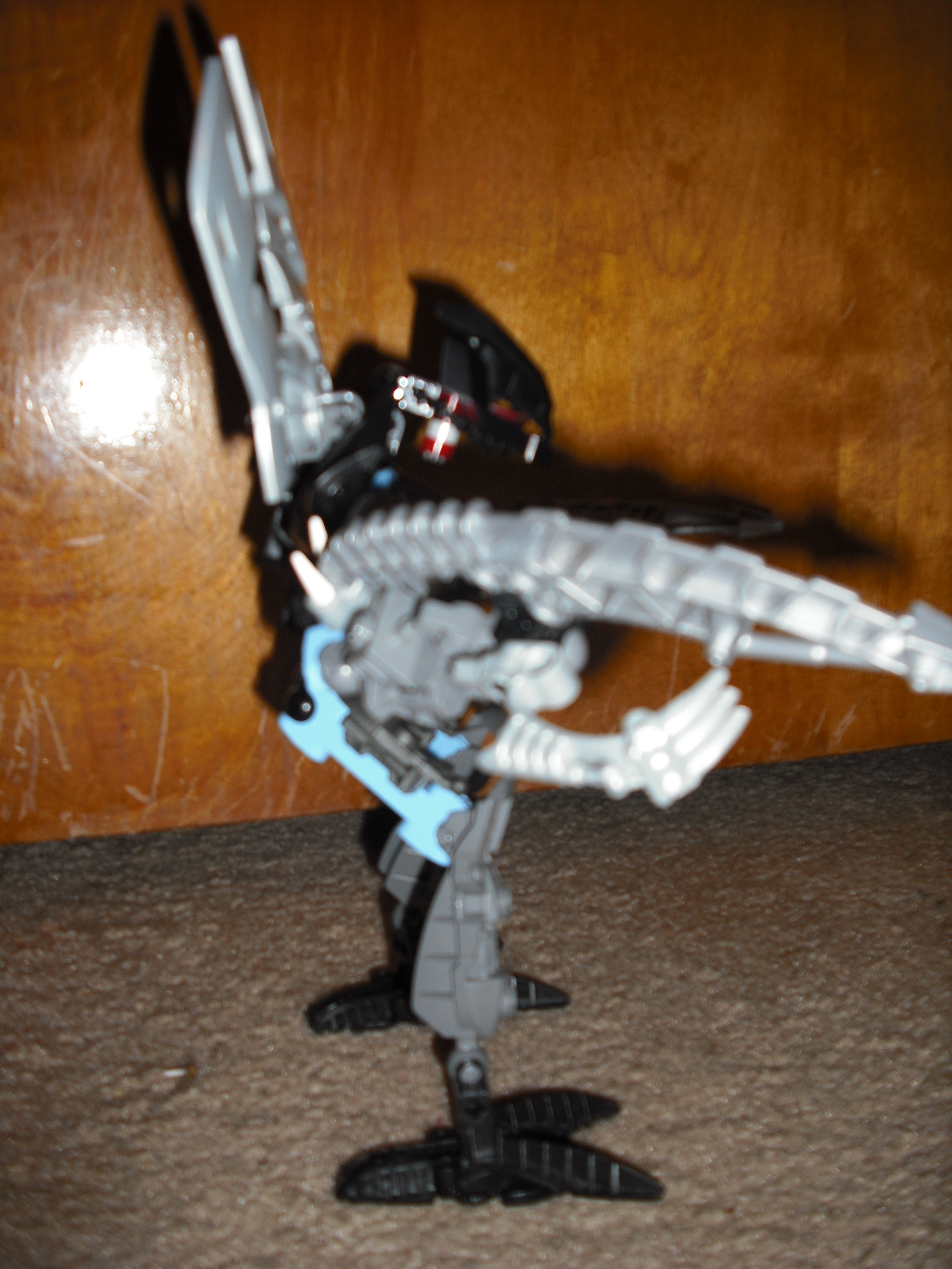 dscf0231.jpg