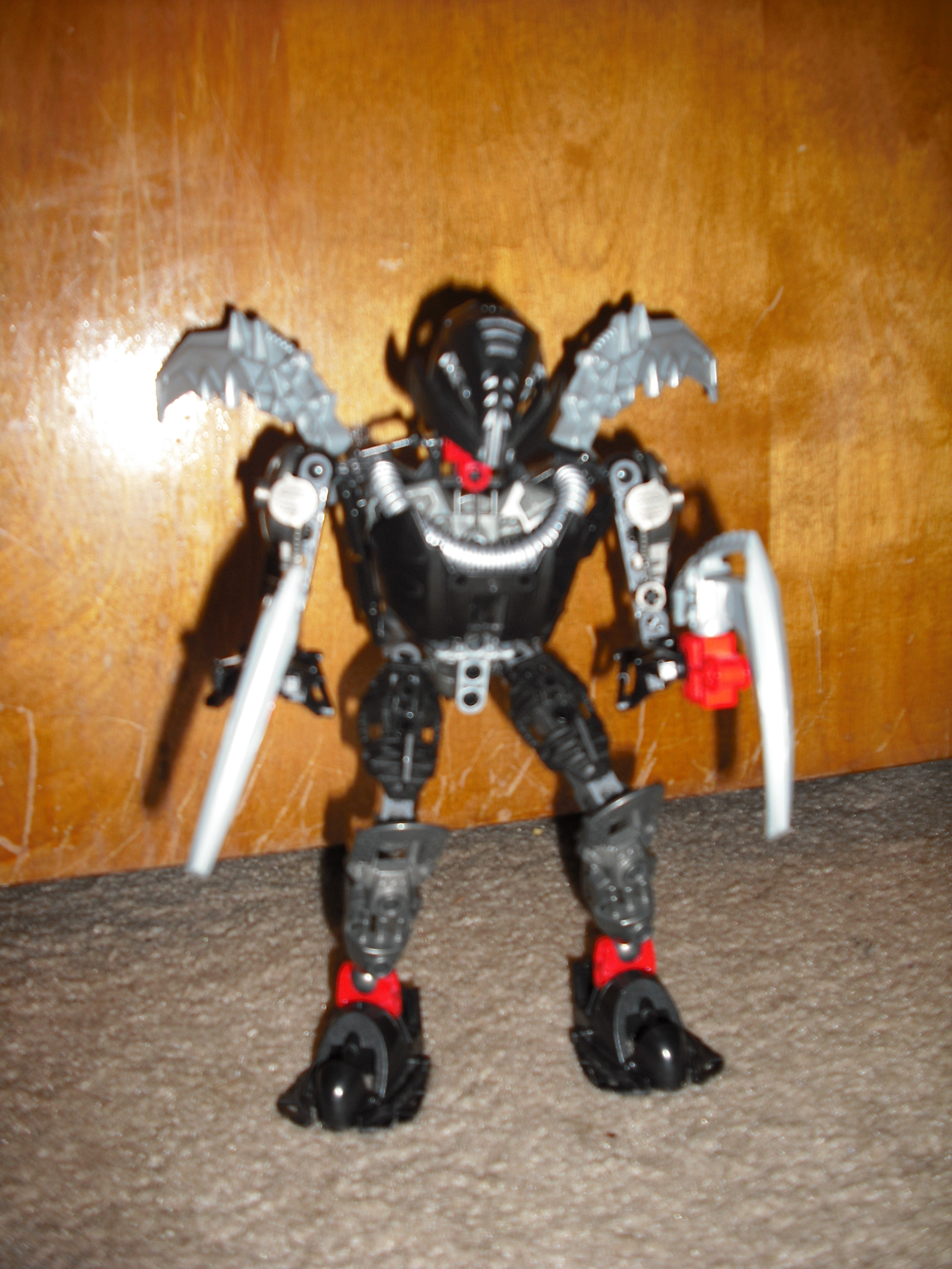 dscf0239.jpg