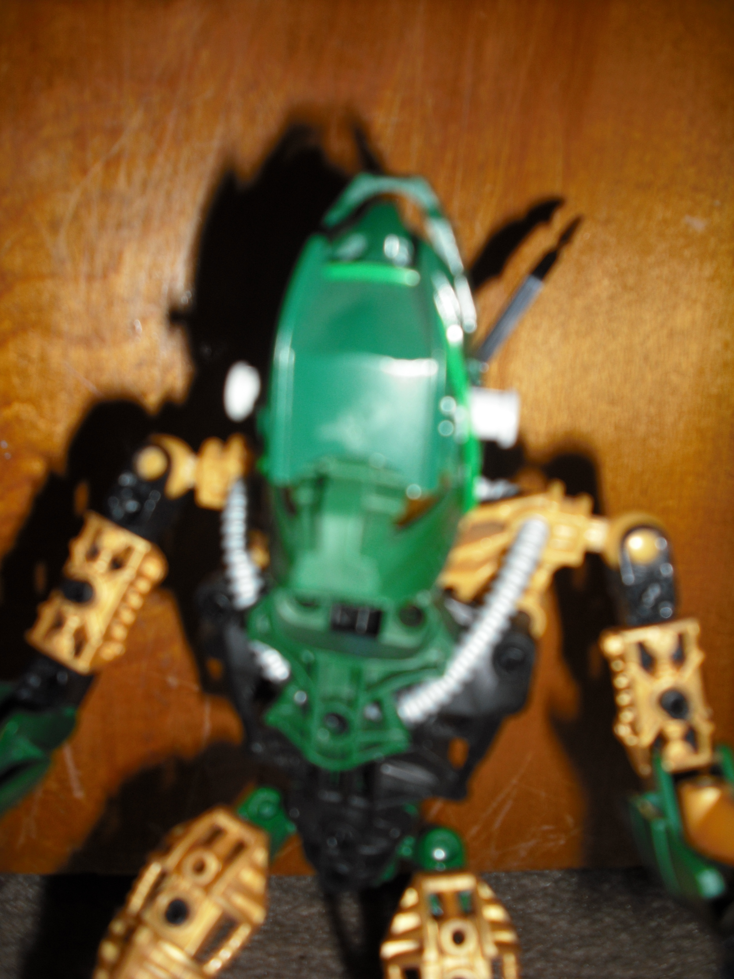 dscf0205.jpg