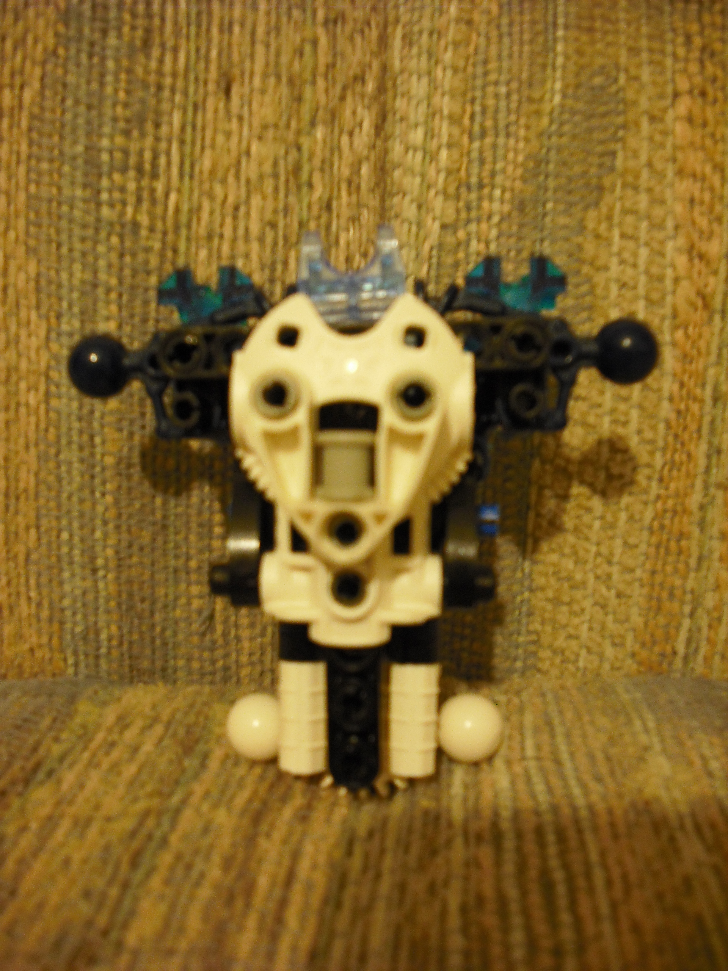 dscf0369.jpg