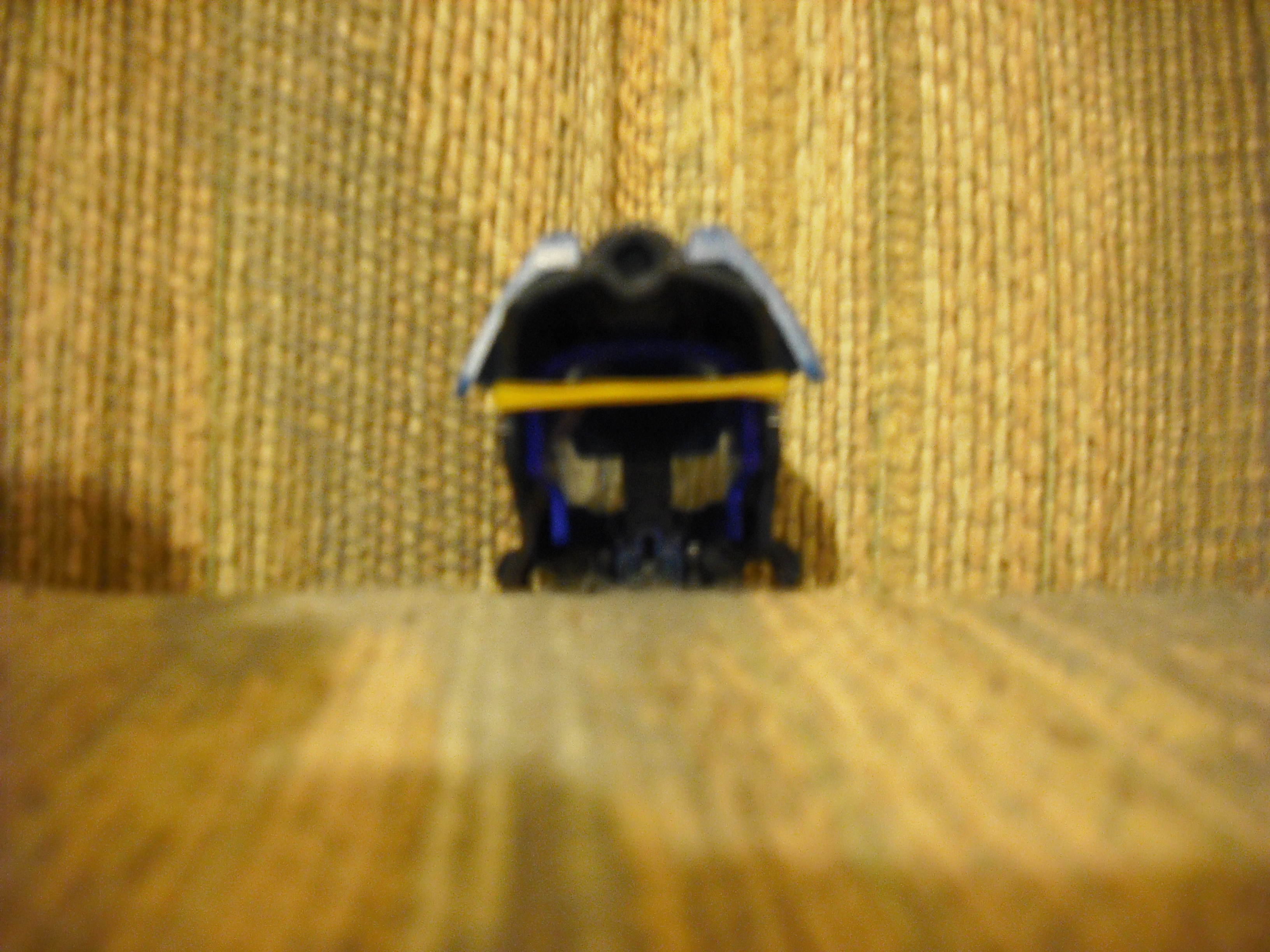 dscf0384.jpg