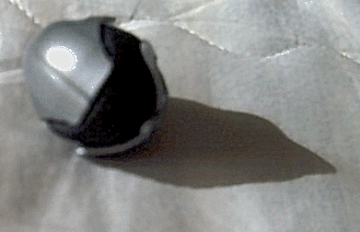 egg3.gif