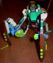 prayingmantis2.jpg