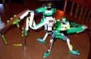 prayingmantis3.jpg