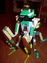 prayingmantis4.jpg