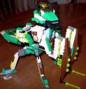 prayingmantis6.jpg