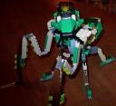 prayingmantis7.jpg