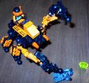 wasp9.jpg