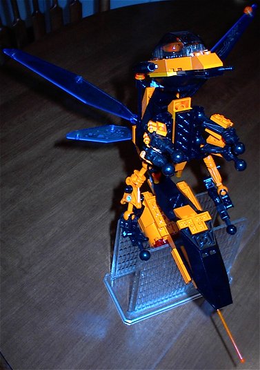 wasp5.jpg