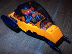 wasp6.jpg