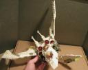 valk_a_prototype_12.jpg