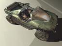 warthog2.jpg