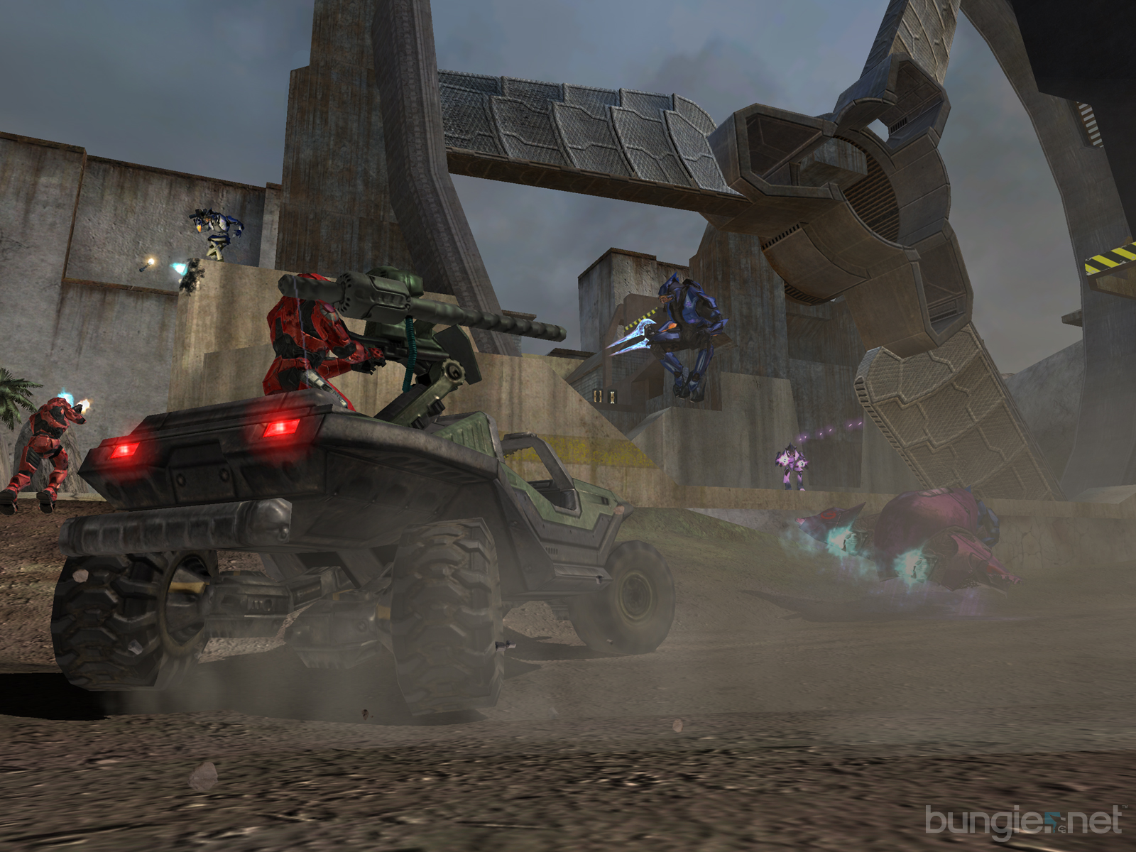 warthog1.jpg