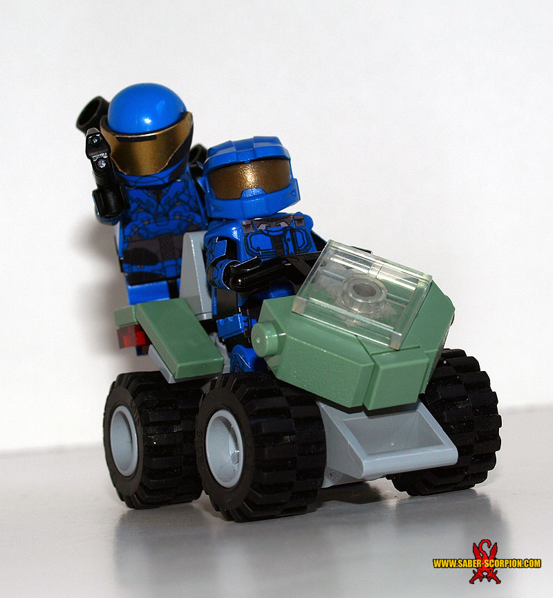 a_mongoose_03.jpg