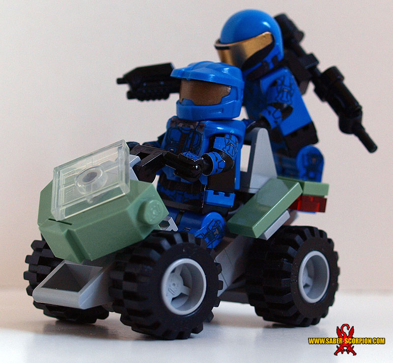 a_mongoose_04.jpg