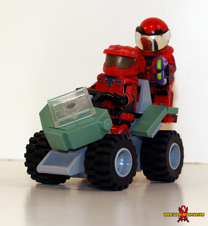 a_mongoose_05.jpg