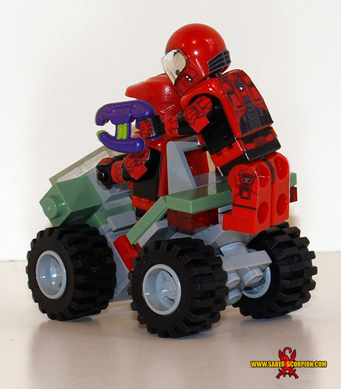 a_mongoose_06.jpg